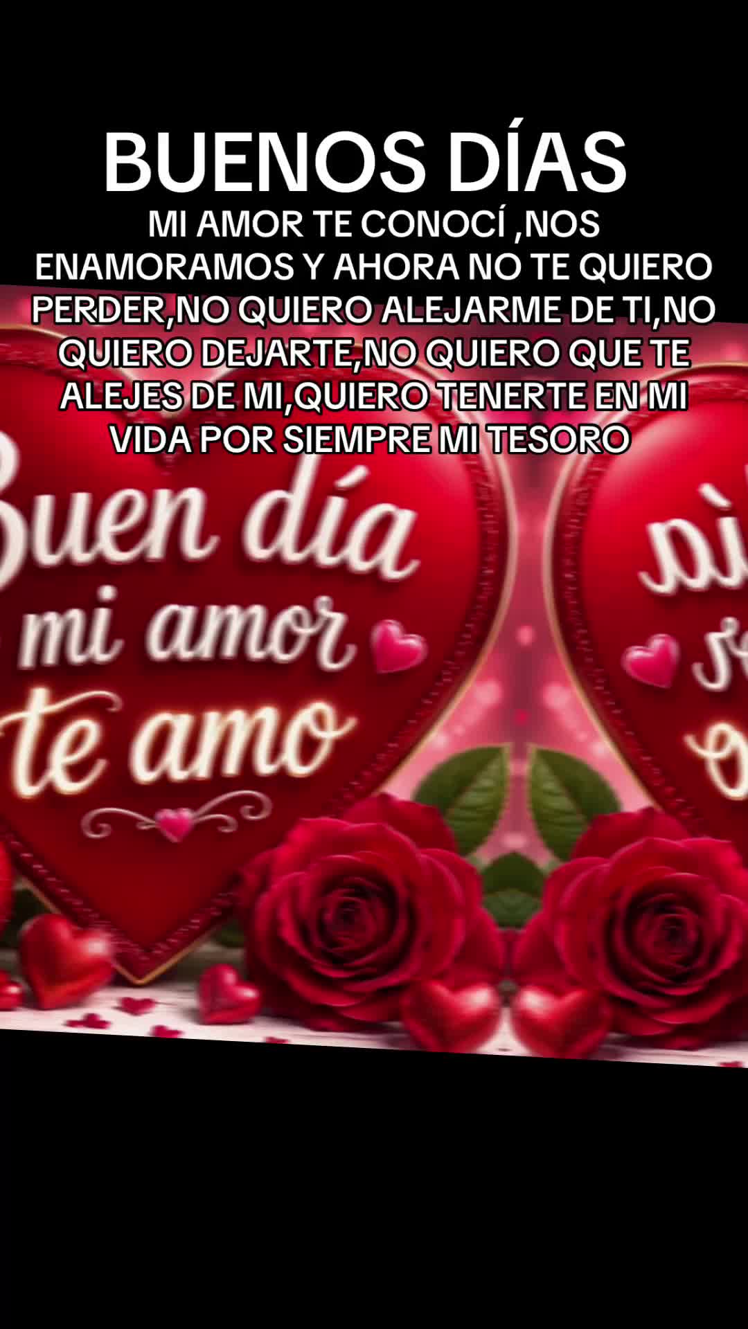 @🖤ELMIXTECO JAROCHO🖤