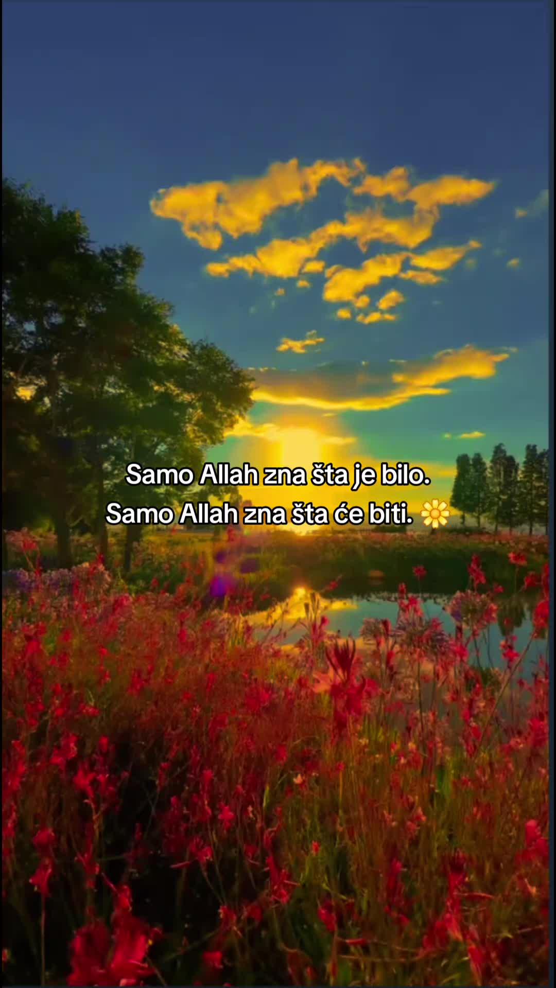 @🍃🌹🍃Merry🍃🌹🍃