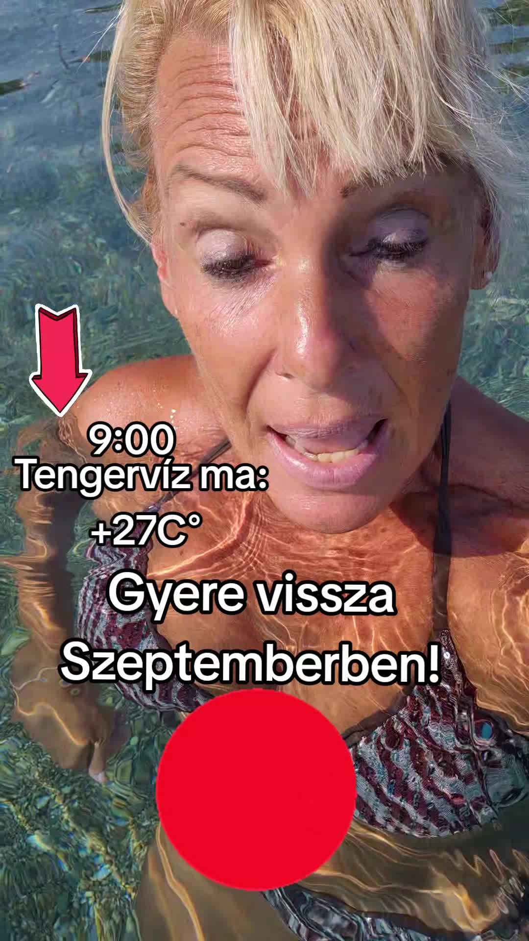 @napocskasugara