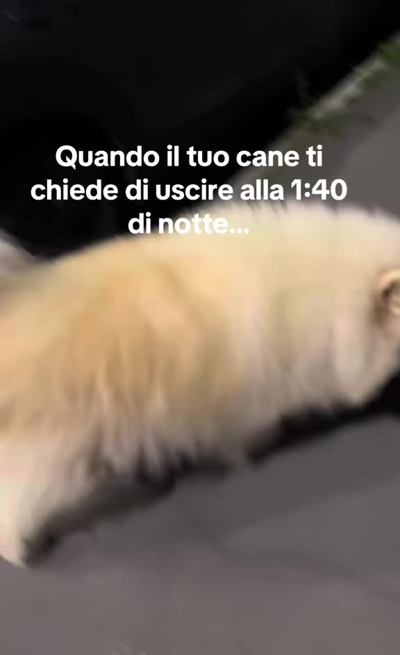 @Giuliiss98 ๐