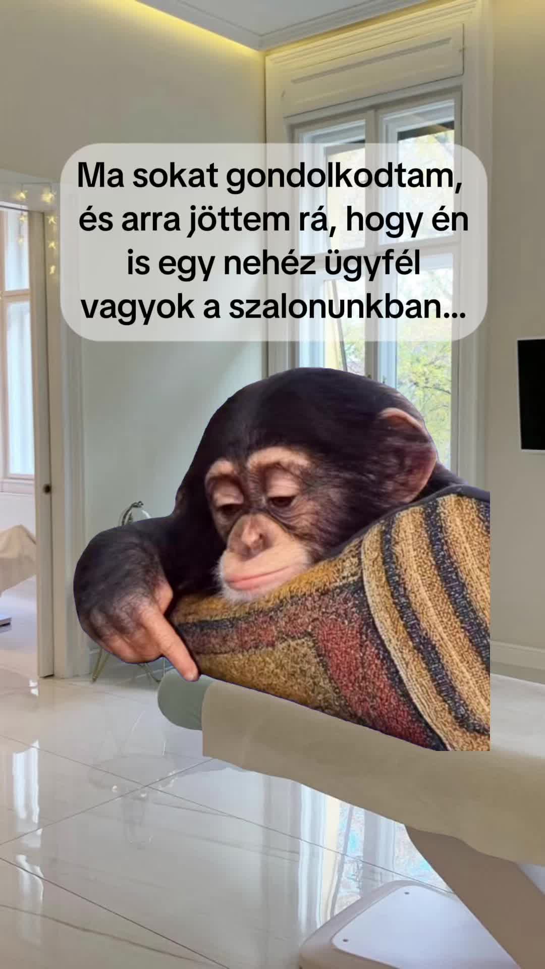@Siklós Júlia Sminktetoválás 💄