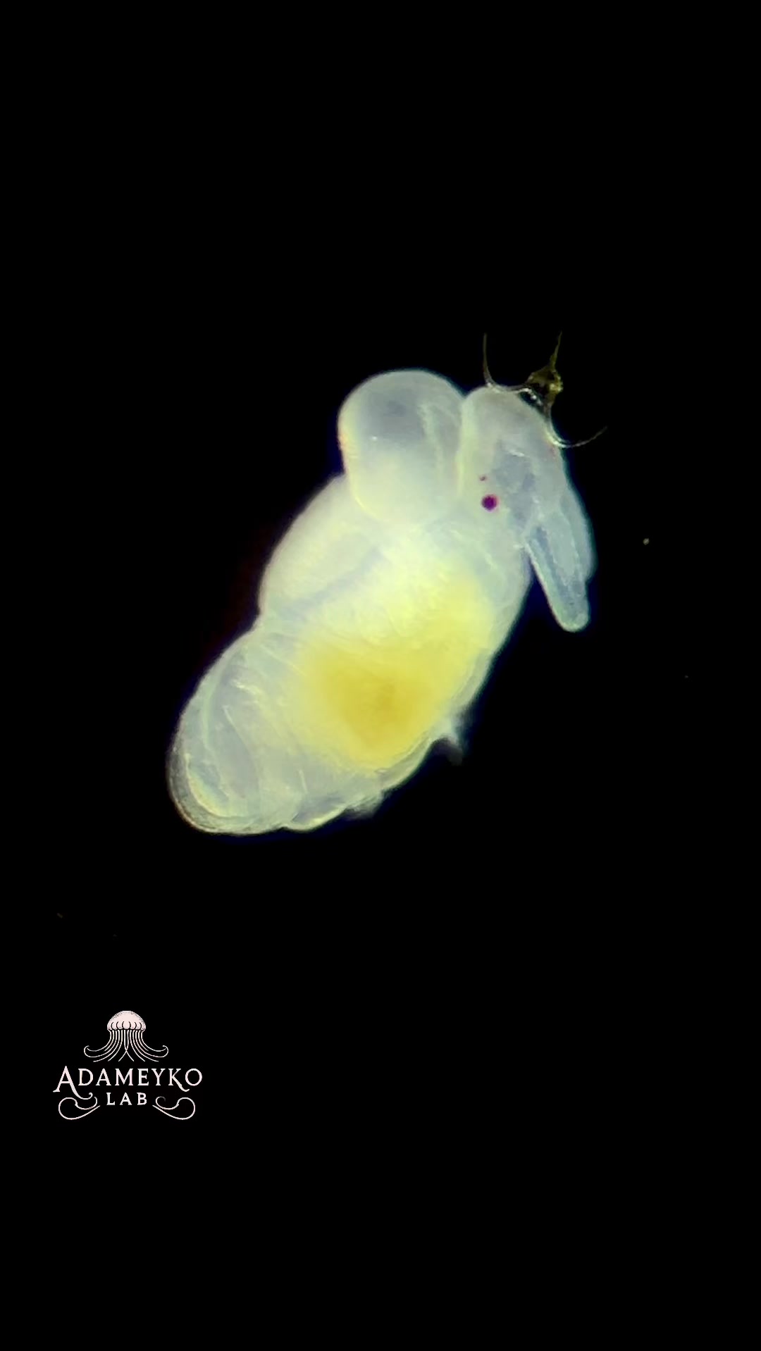 @The_story_of_a_biologist