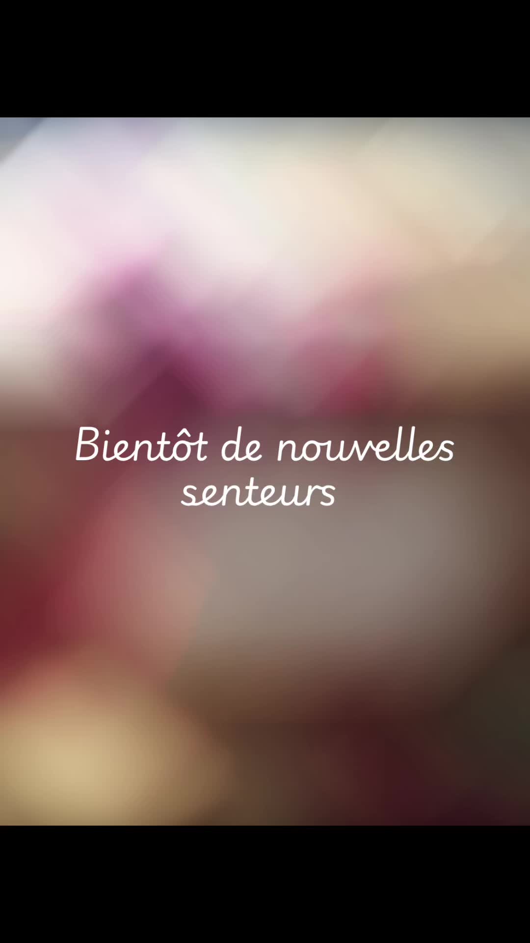 @Maison Claudine