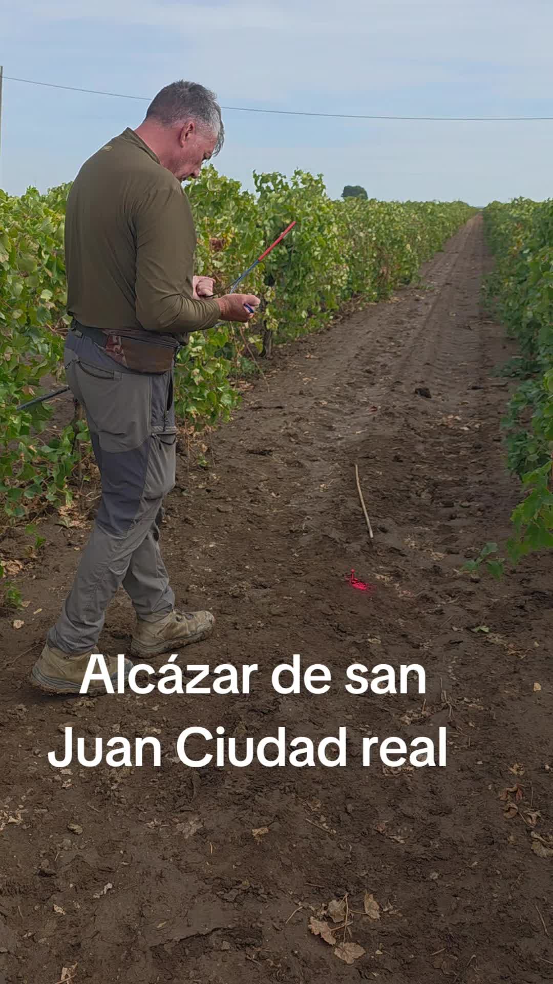 @Zahori Blas Moreno