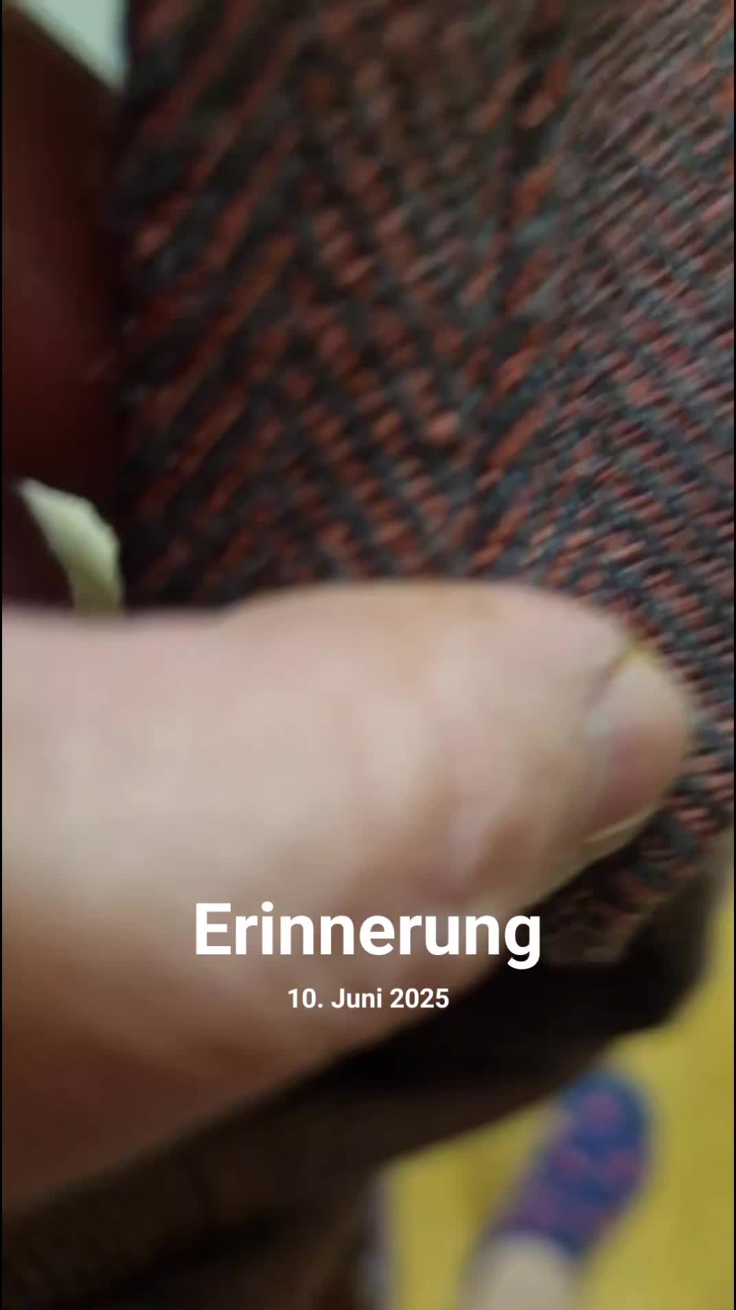@völvafrydasiegfriedsdottir