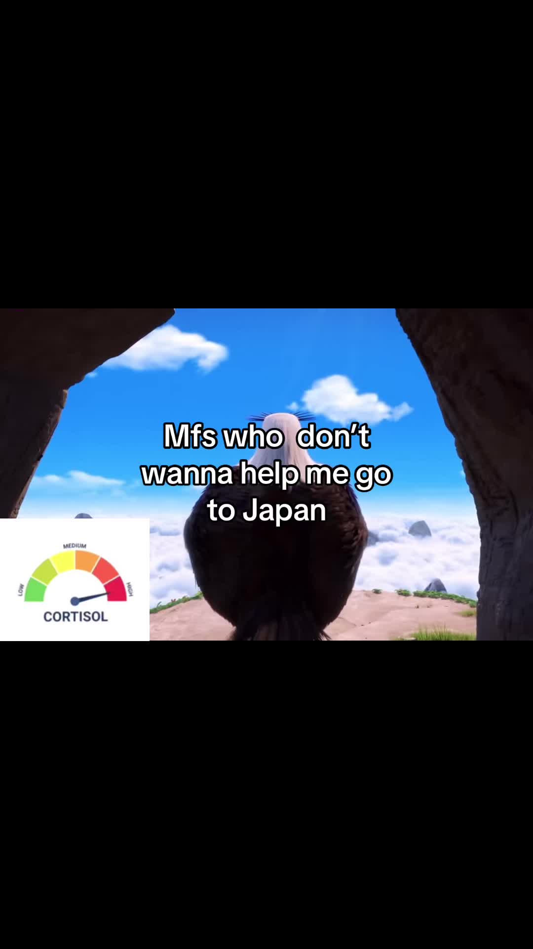 @MK