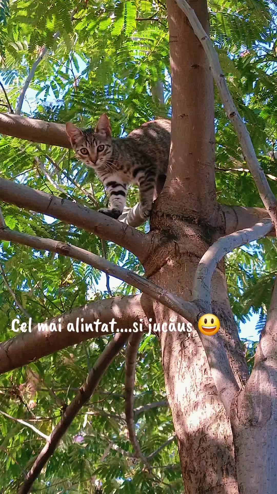 @🦋Cristina 🦋