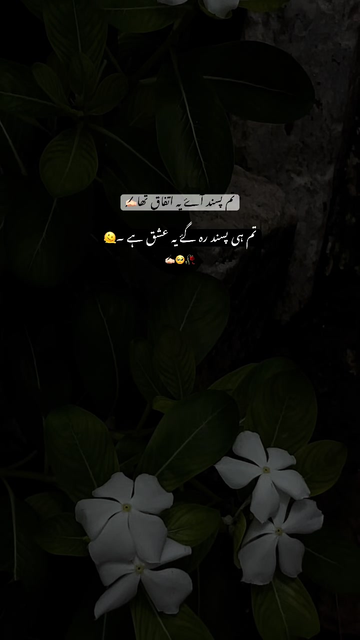 @عباسی🥀