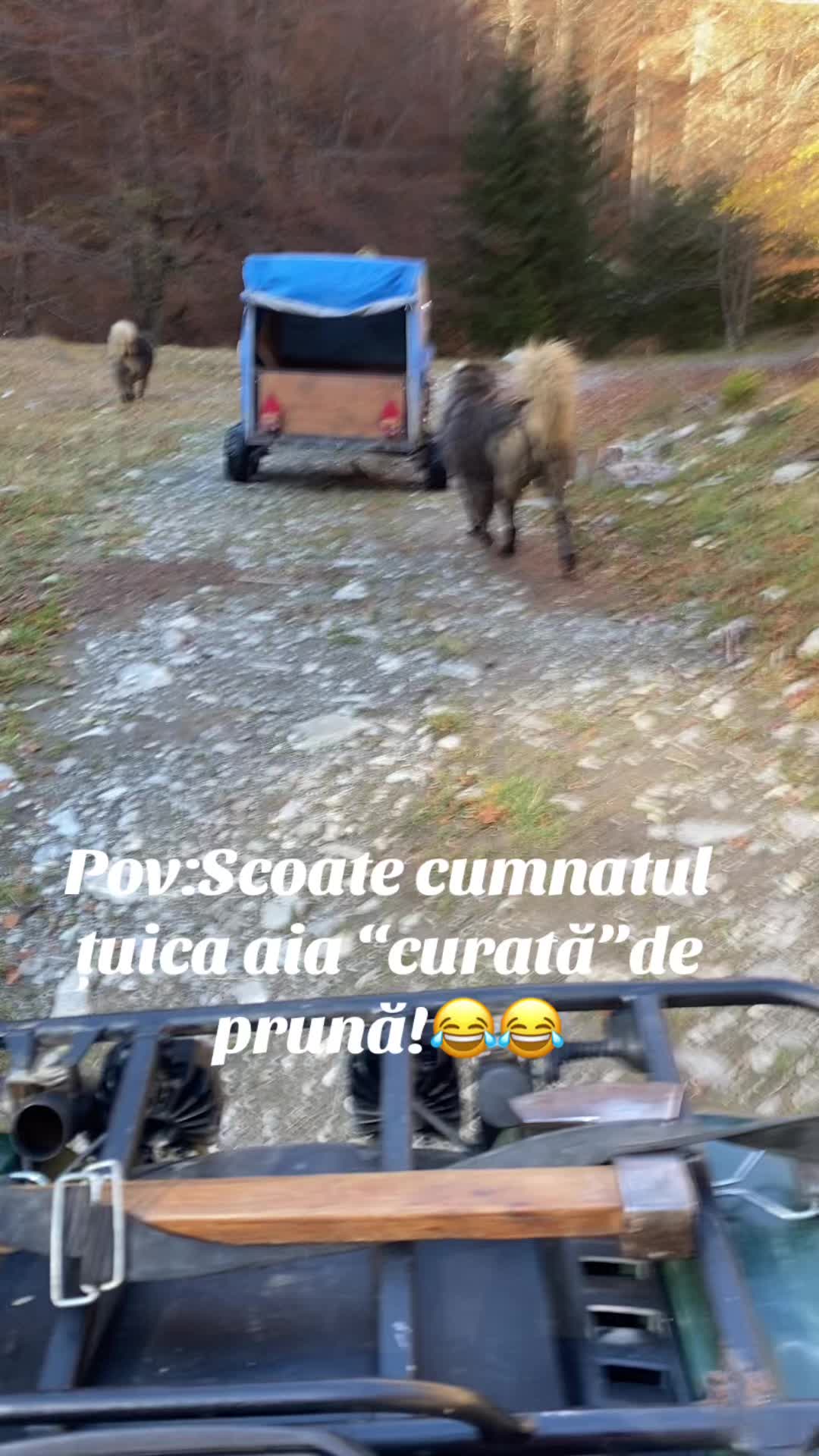 @Moldoveanu Alexandru