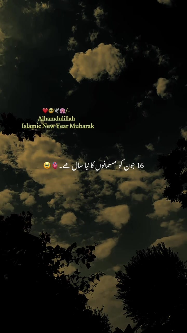@🕊️