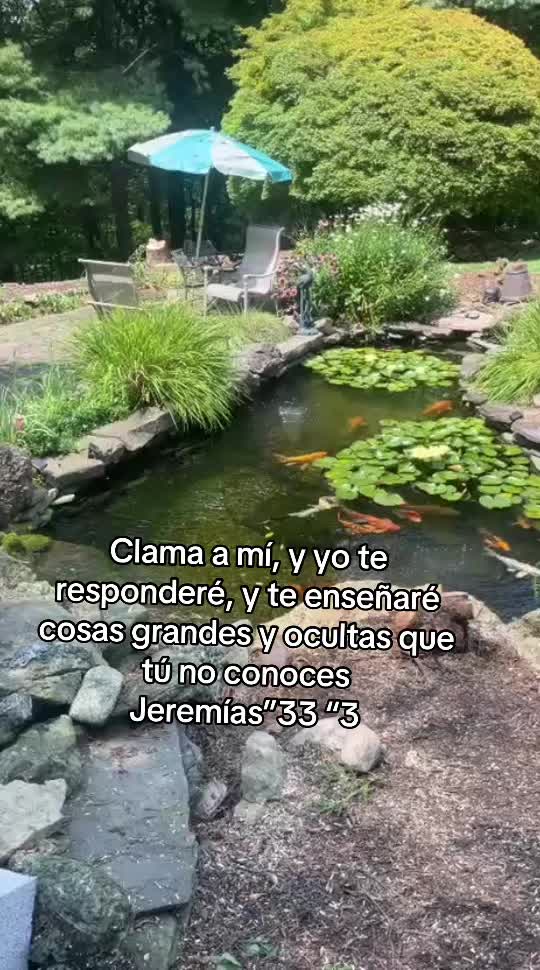 @yulissa.iriarte4🇭🇳🐣🐥