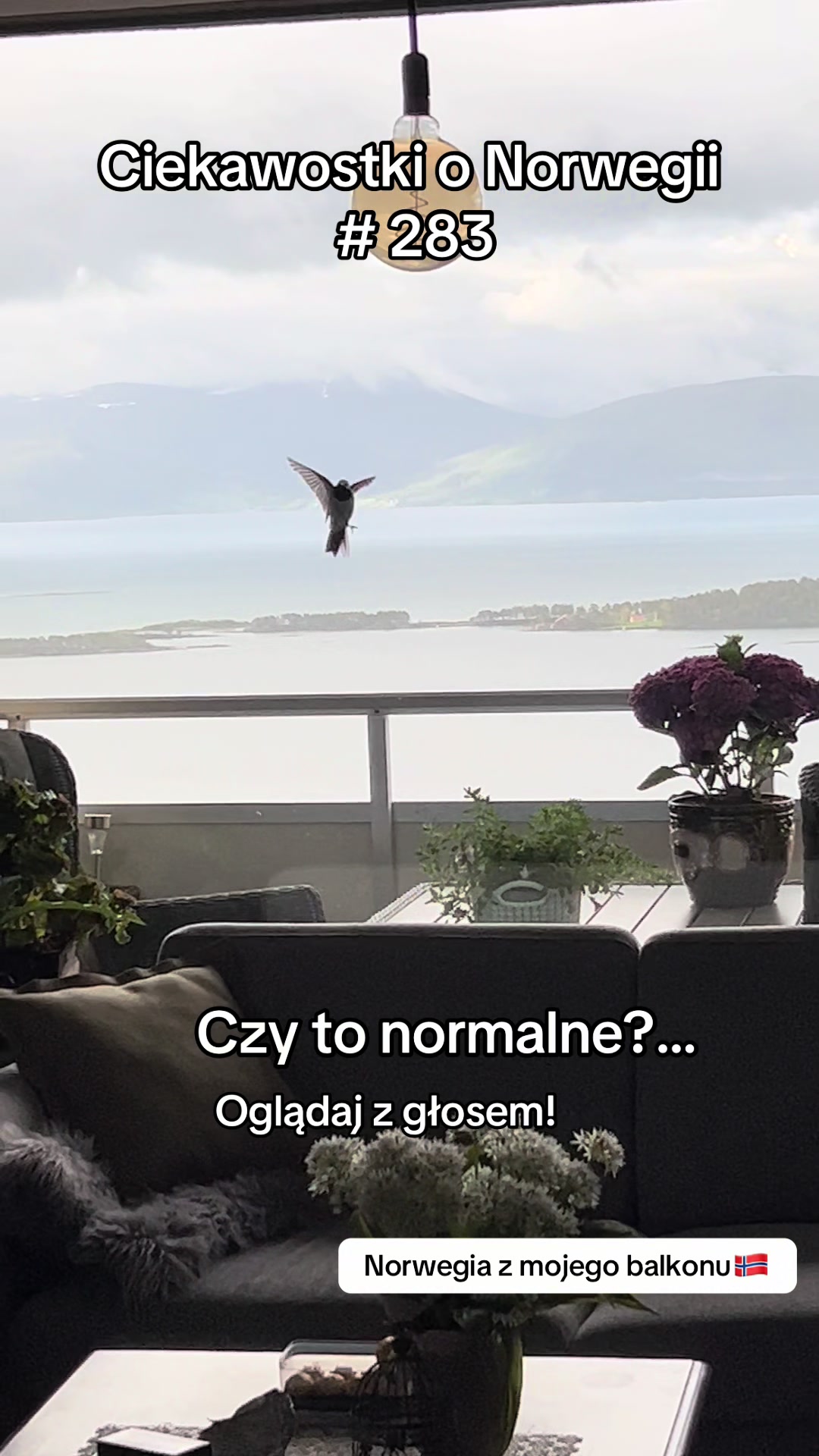 @Iwona Skwiot • Norwegia