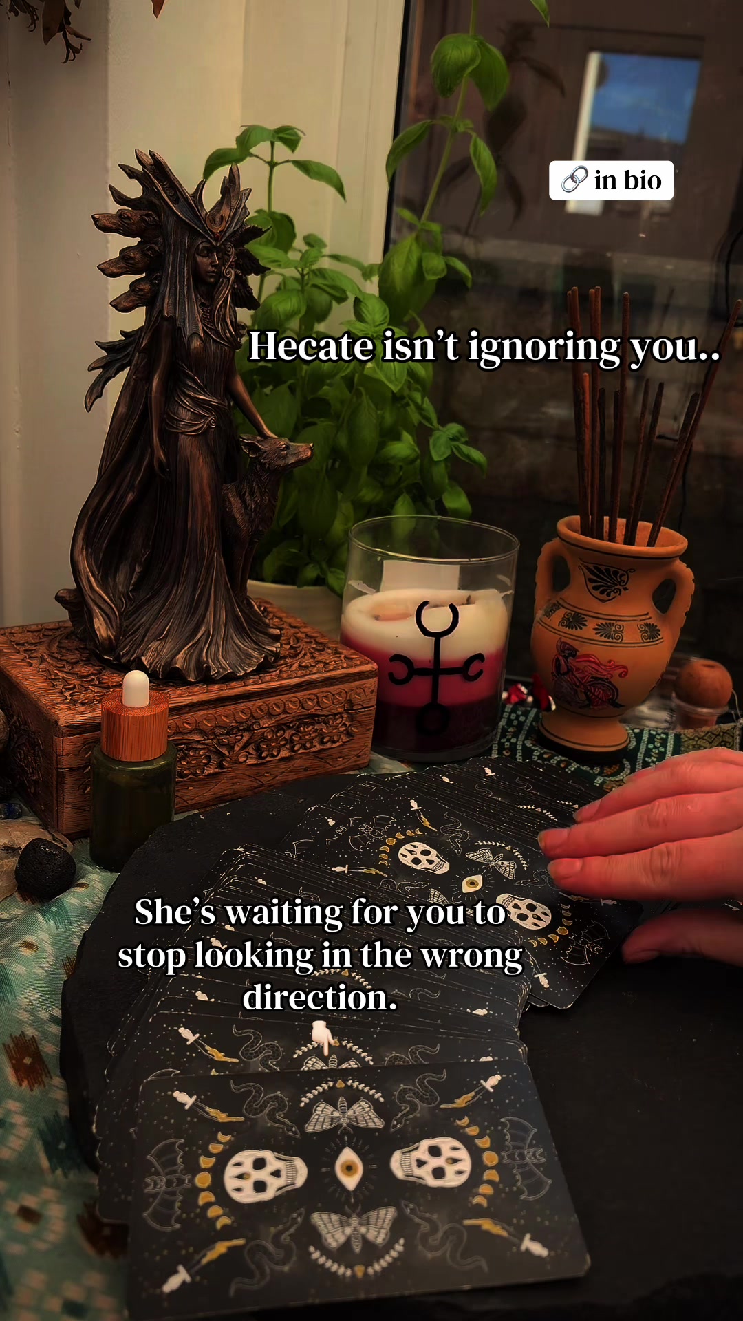 @Maple Magick