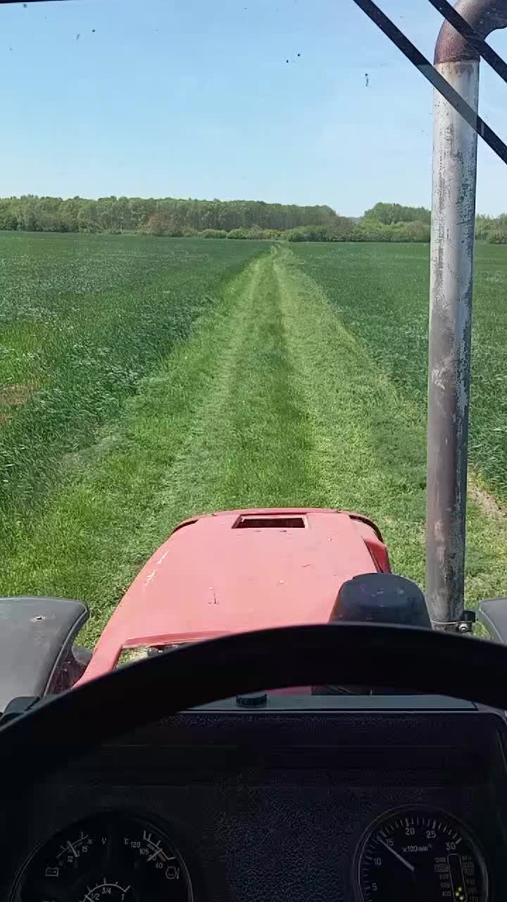 @Máté🚜👨🌾