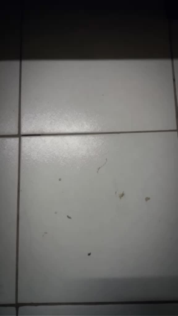 @Zrehn Atsituab Nitsu