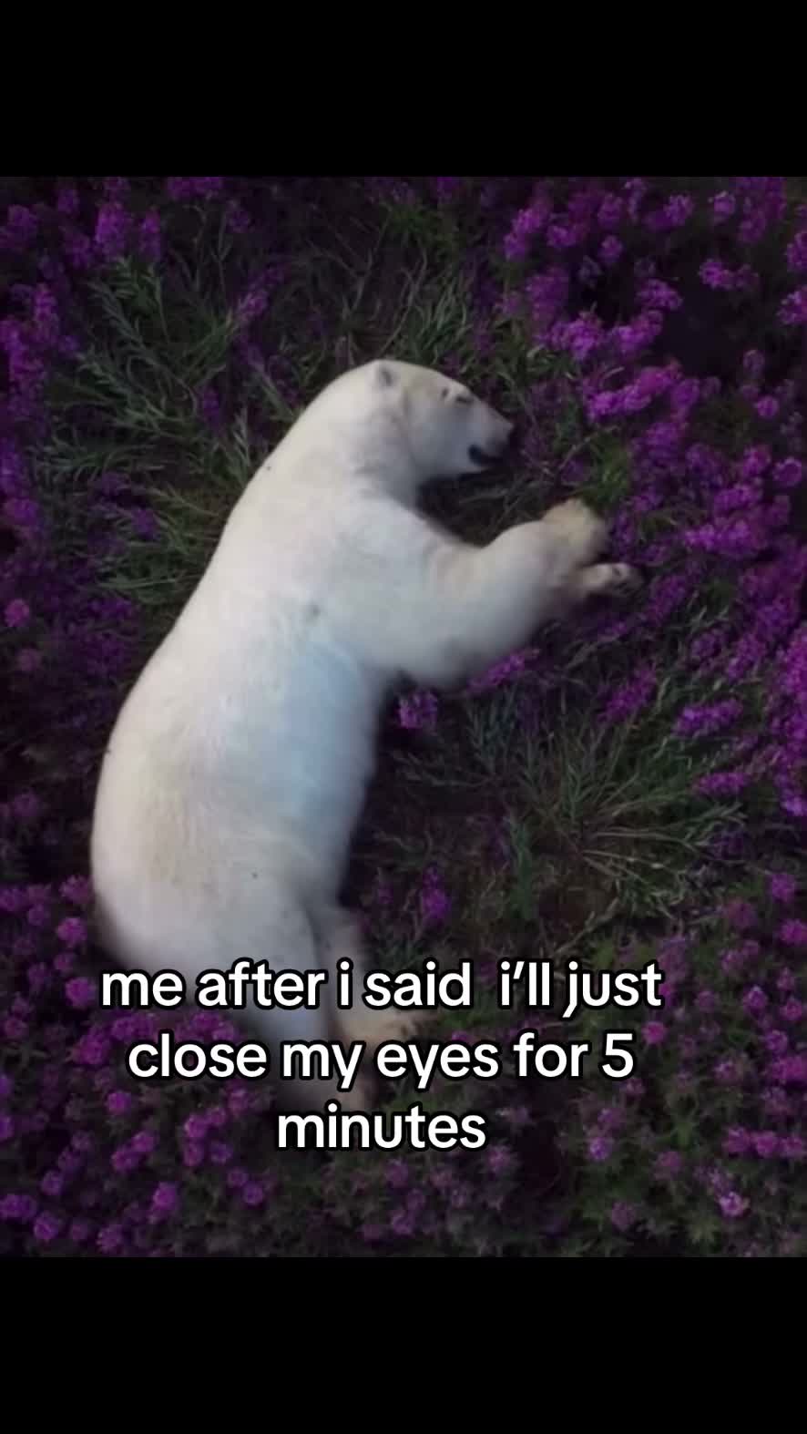 @ufunnehclips