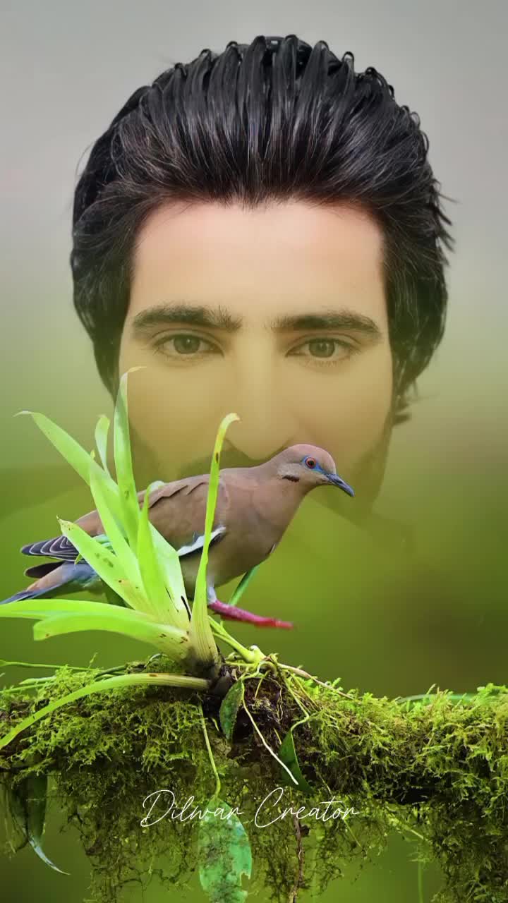 @khurshid7771