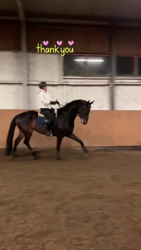 @Hus&ouml;