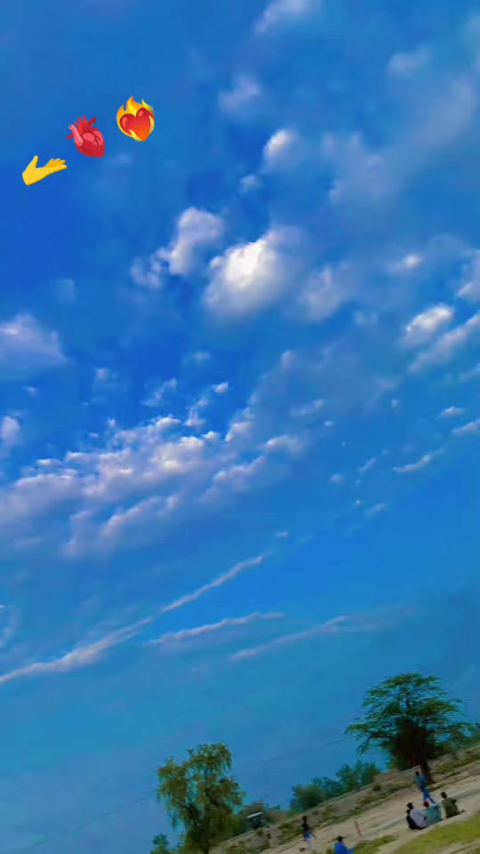 @▄︻デI̷ ̷a̷m̷ ̷s̷o̷h̷a̷i̷l̷══━一