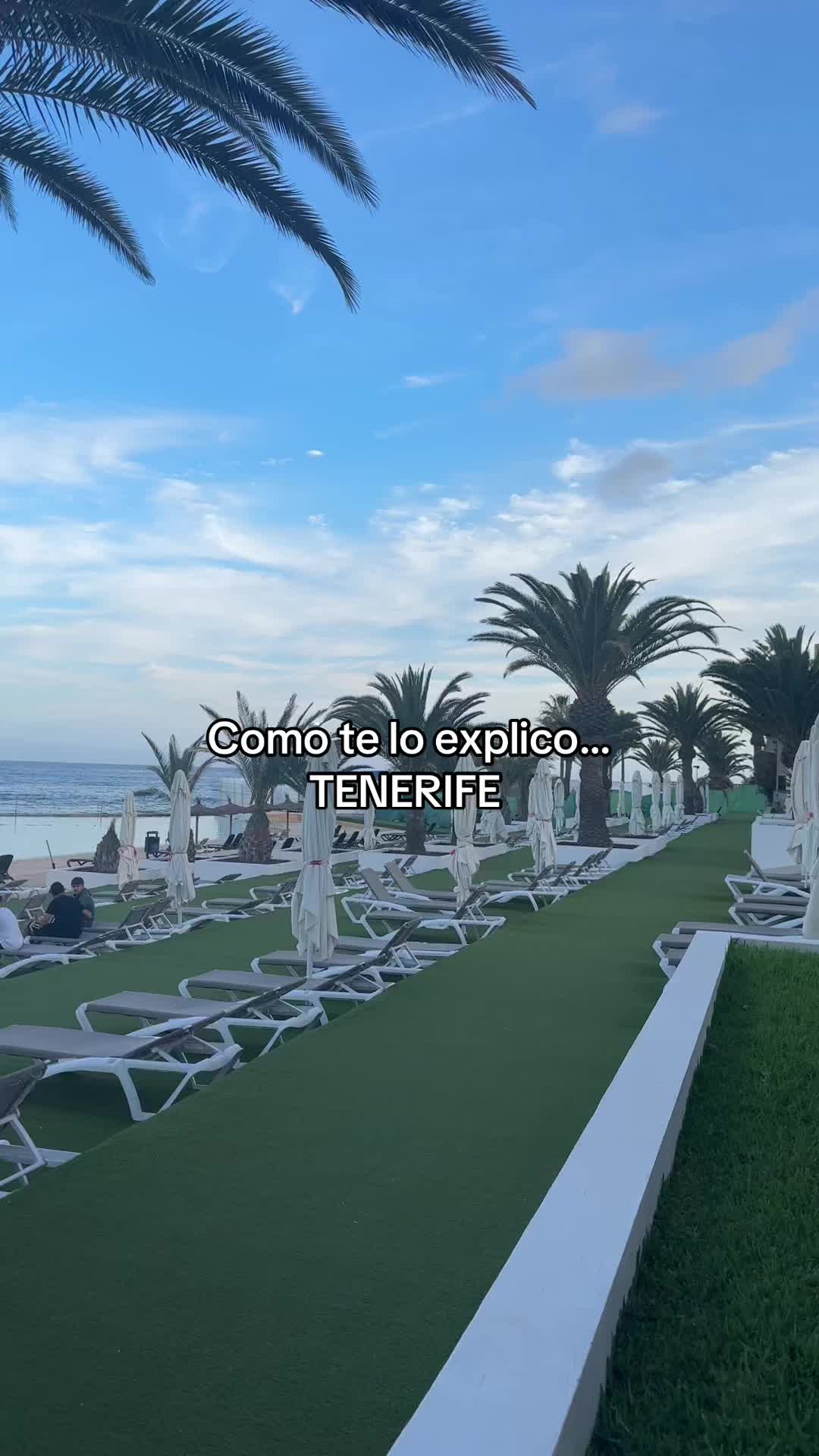 @Adelina Elena