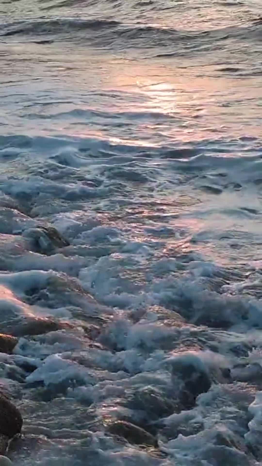@Douceur Divine♡