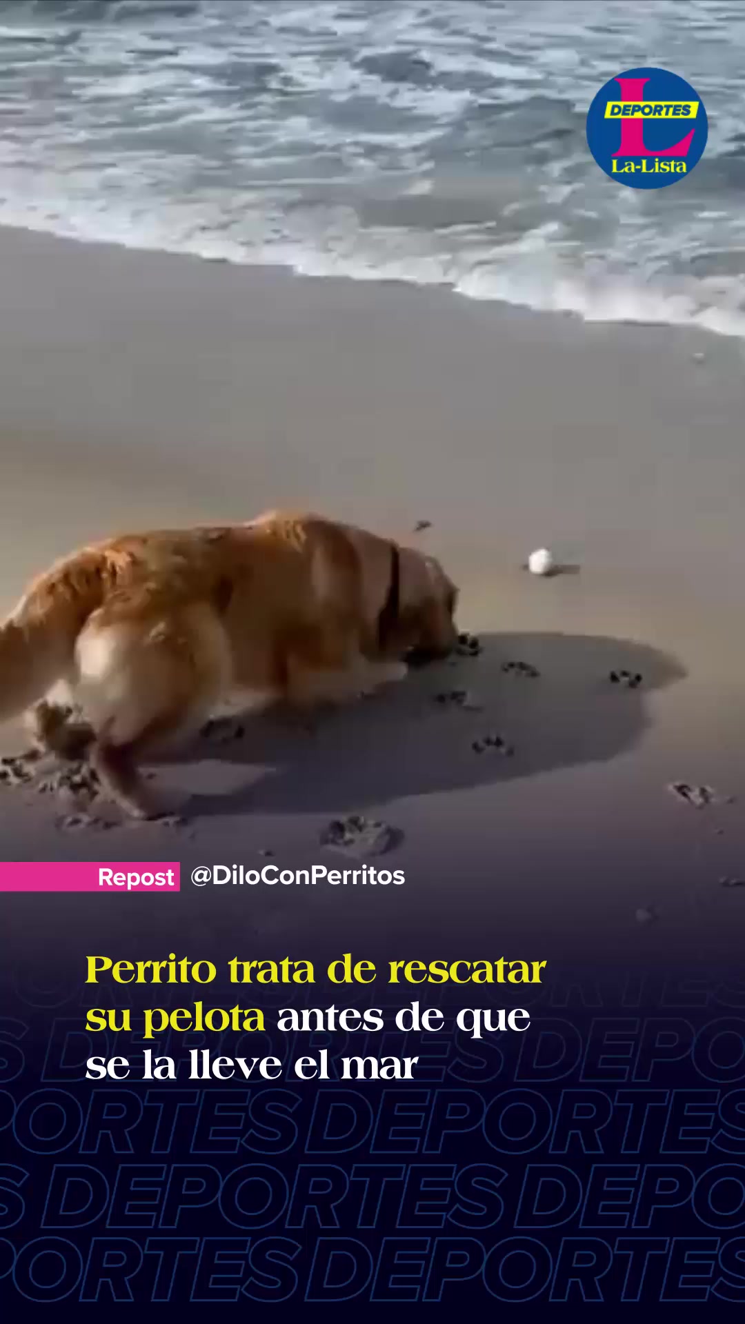 @La-Lista Deportes