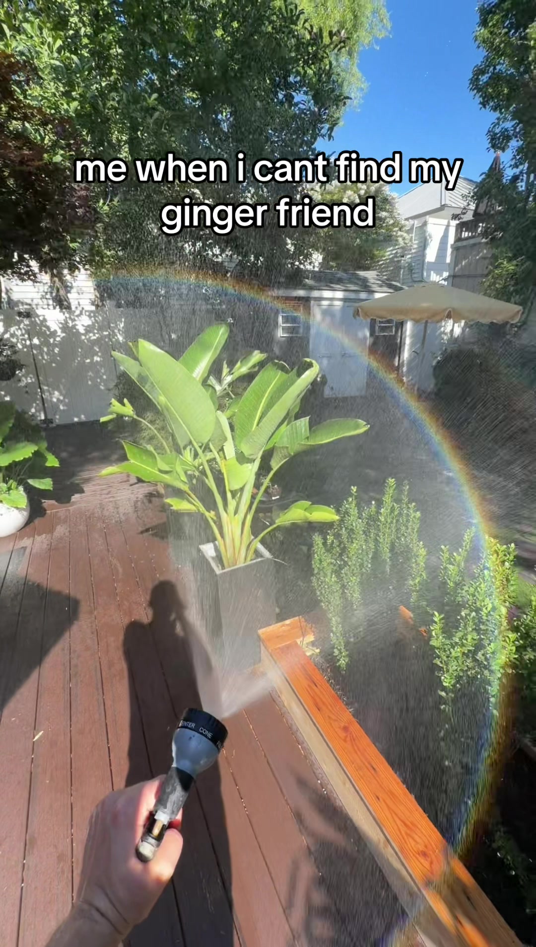 @n&aelig;gu