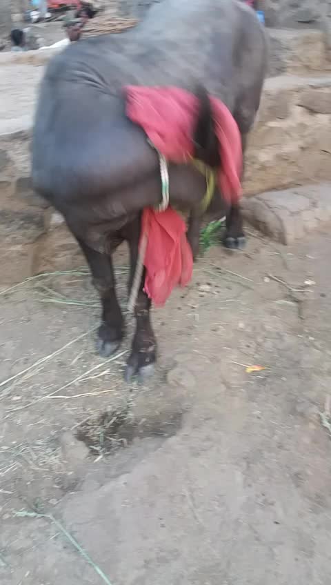 @sominath143