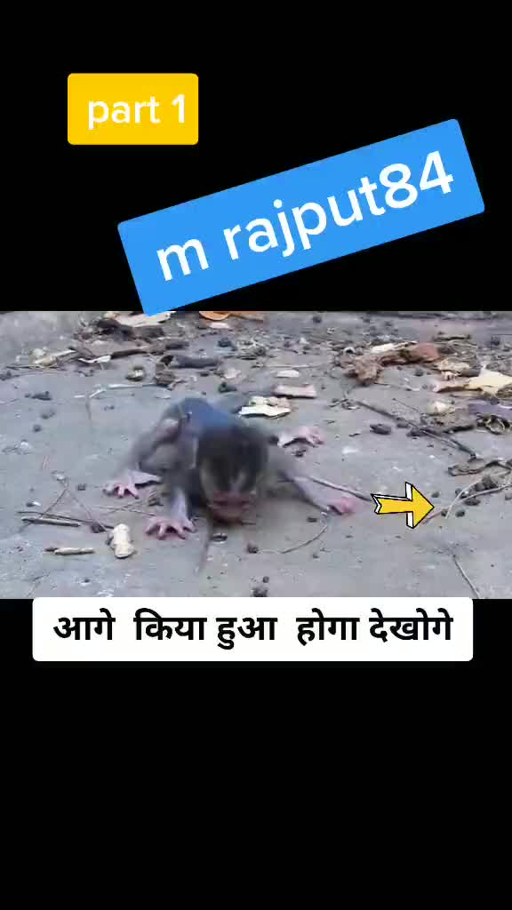 @Pawan Bidlan