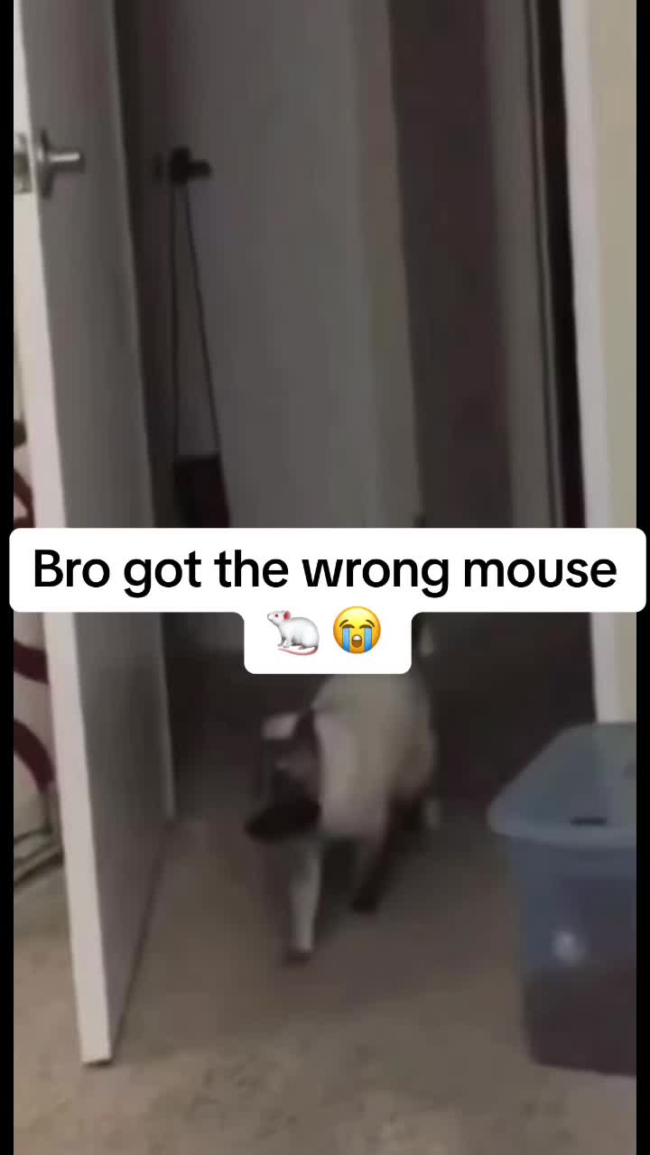 @Marco_1808