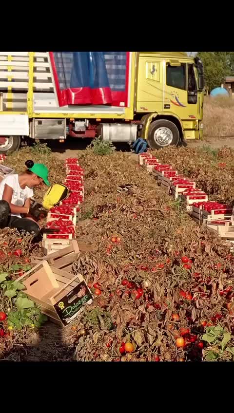 @Nicola Manetti