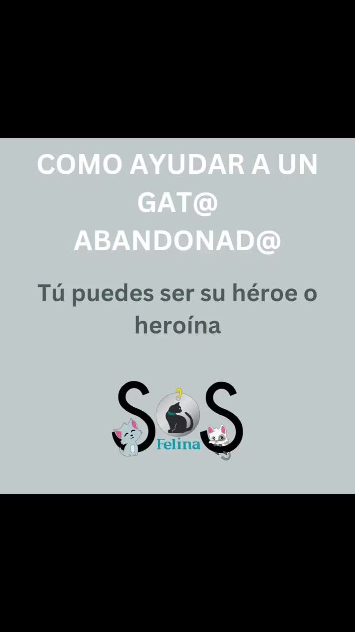 @SOS FELINA TENERIFE