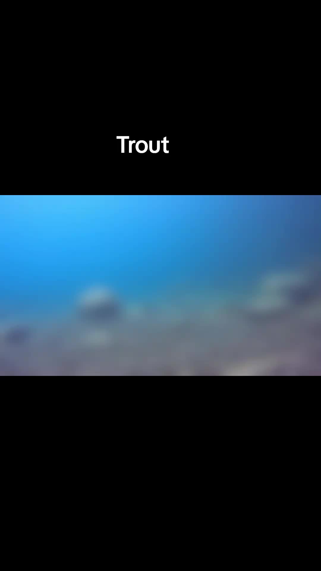 @@stutubediving