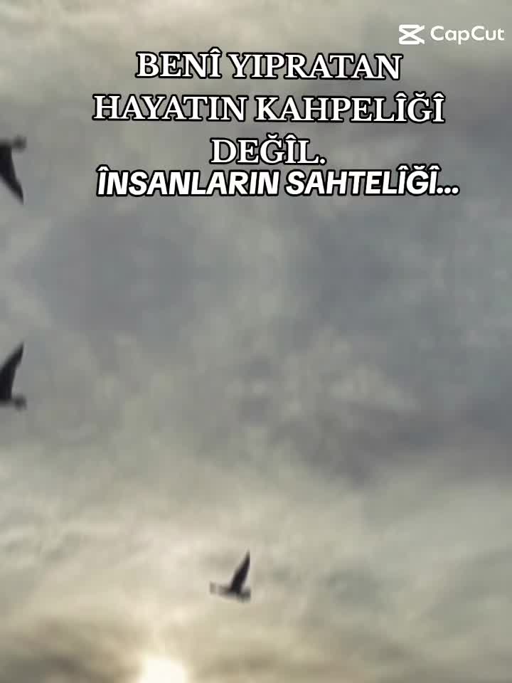 @🌸GülÇîçek🌸