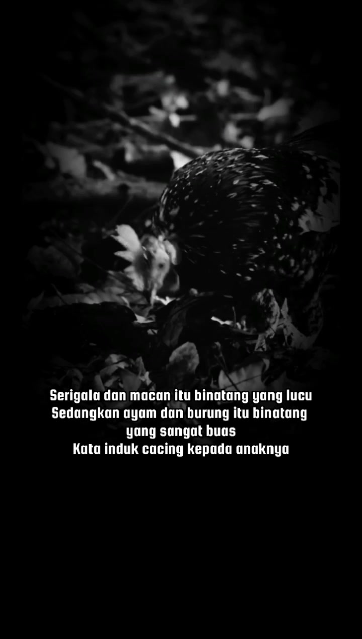 @𝘾𝙝𝙤𝙧𝙙𝙢𝙞𝙣𝙤𝙧