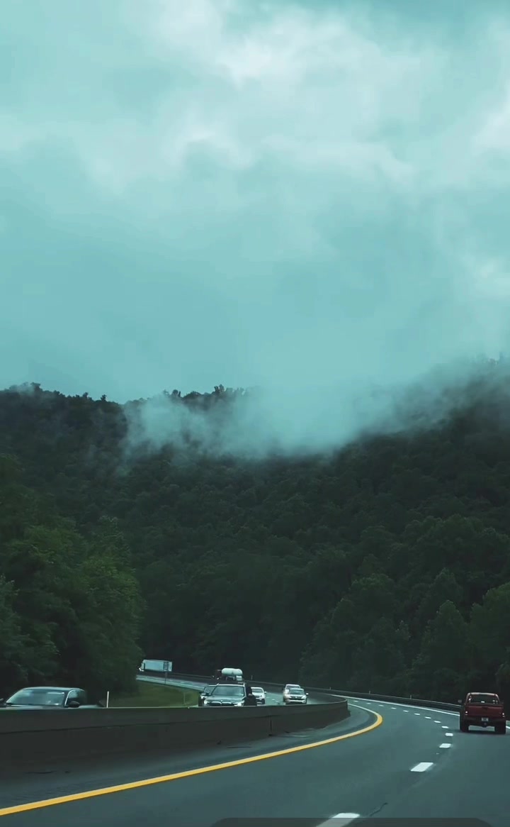 @Cat💜