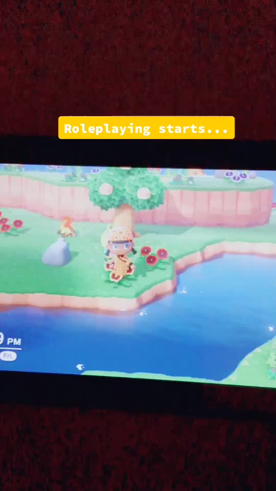 @AnimalCrossing💖
