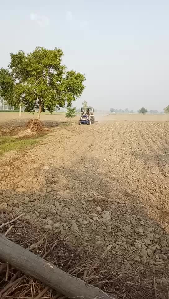 @dasi jamidar