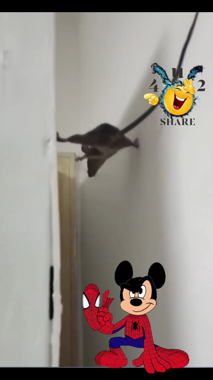 @๐๐ฆ๐๐๐๐๐ฃ๐