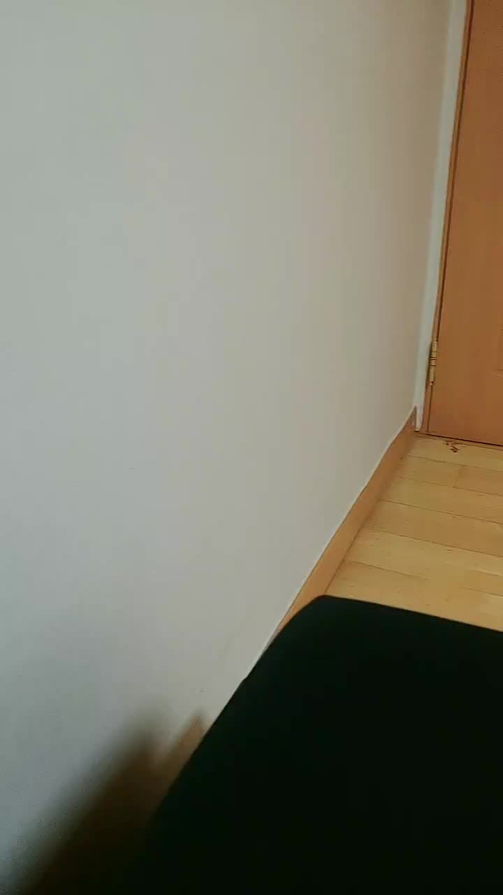 @뭐 하시는거죠? 그건 제 잔상입니다만