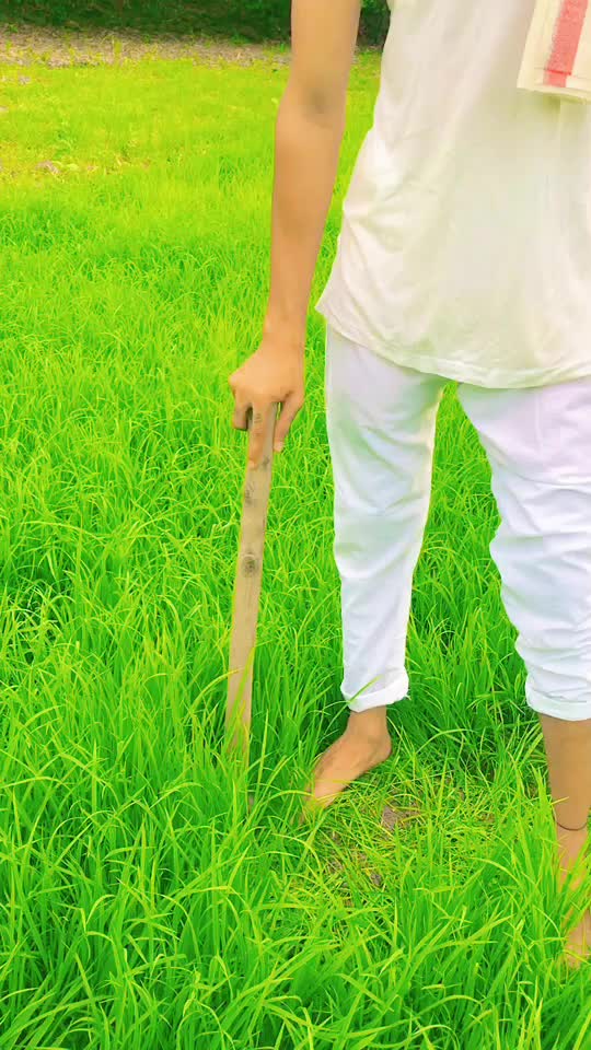 @user38987665881