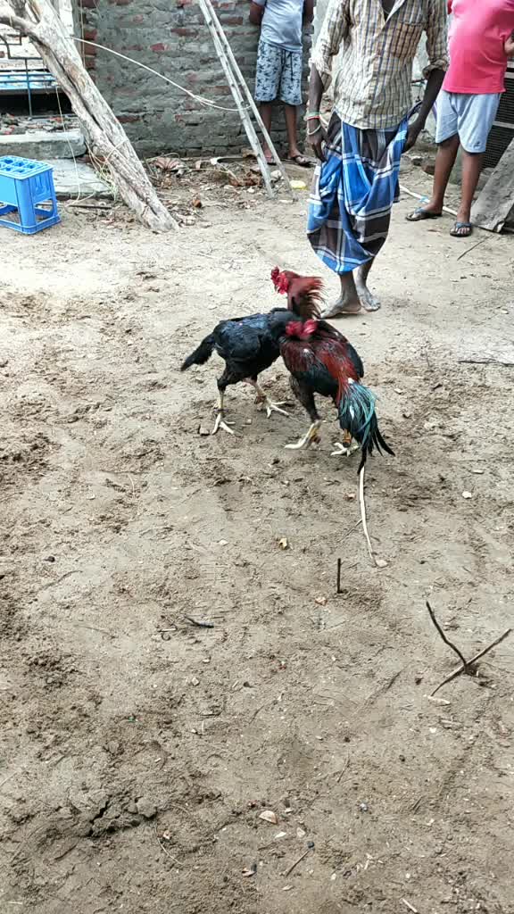 @@lonè bôy