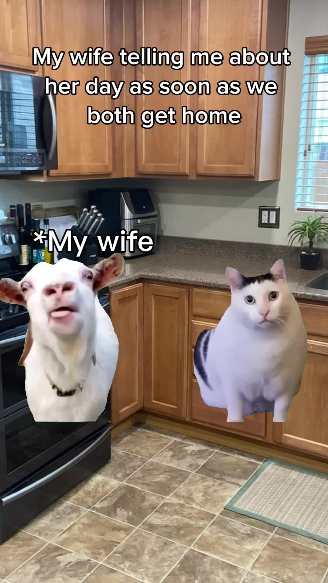 @Mistapenguin _123