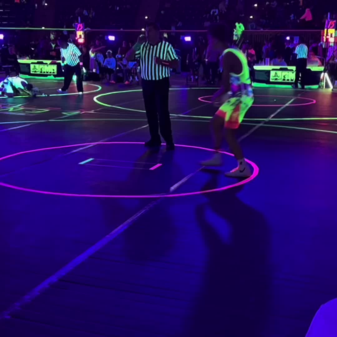 @devastating.wrestles