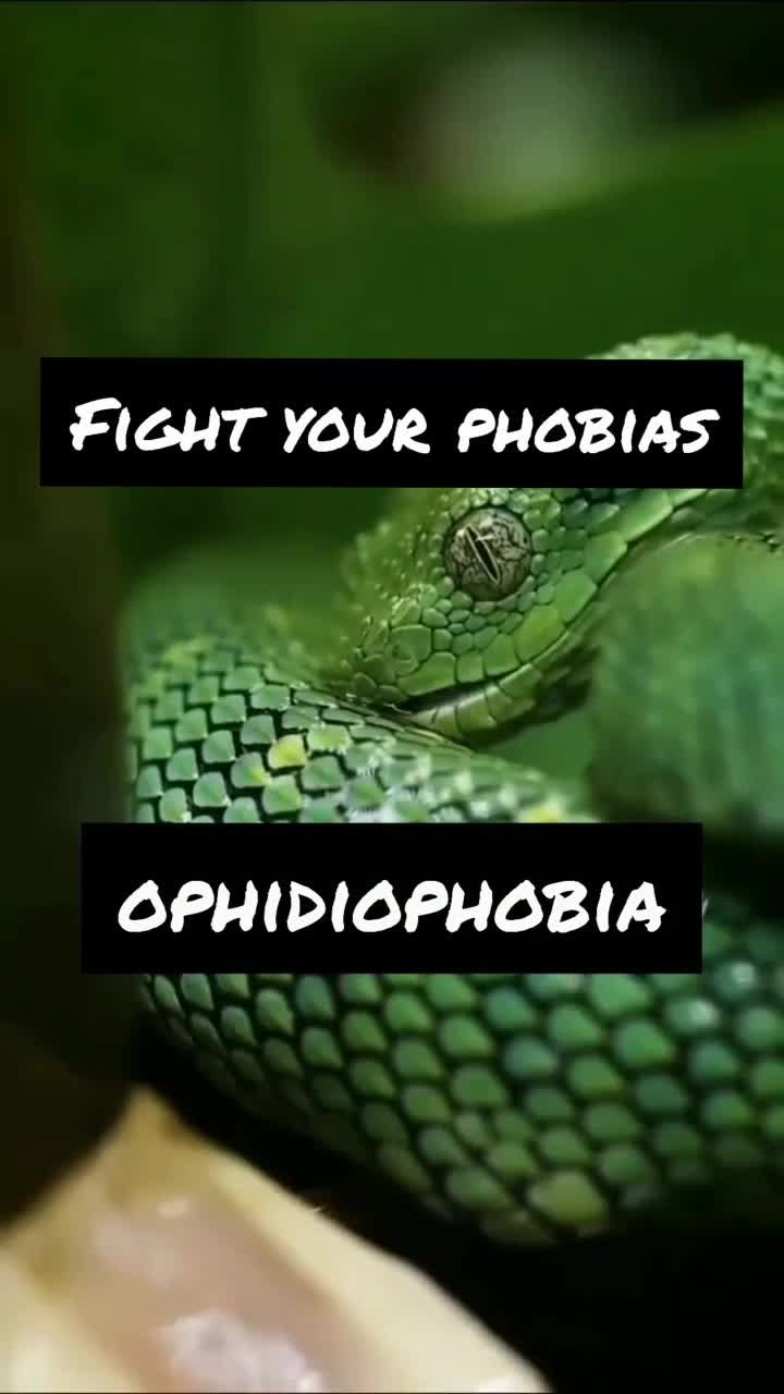 @ ️ 