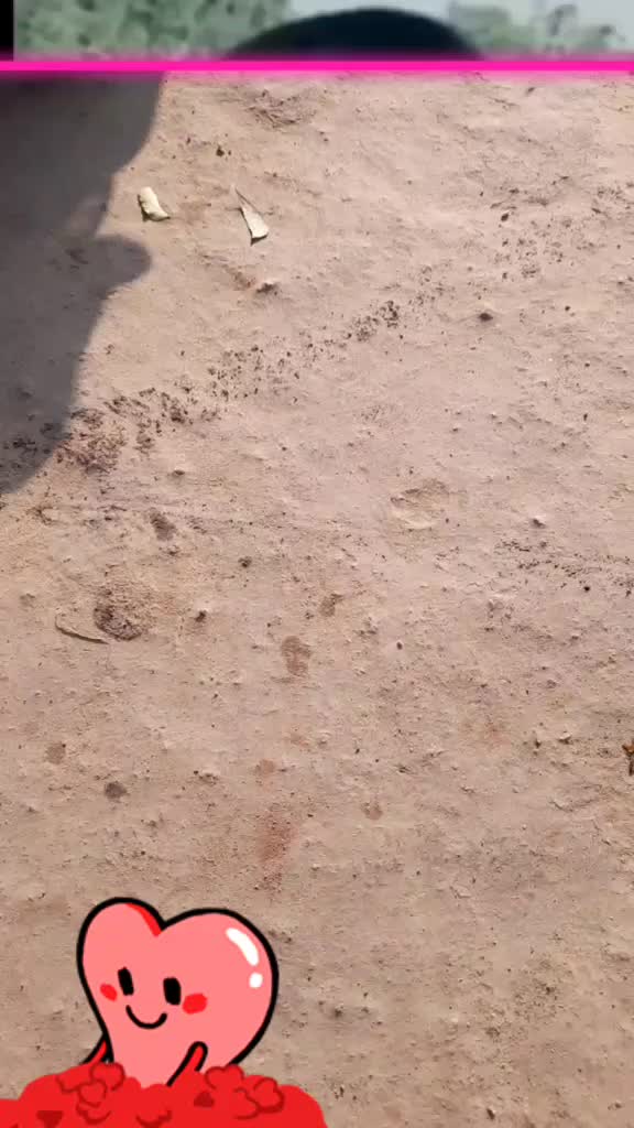 @user3986324611331