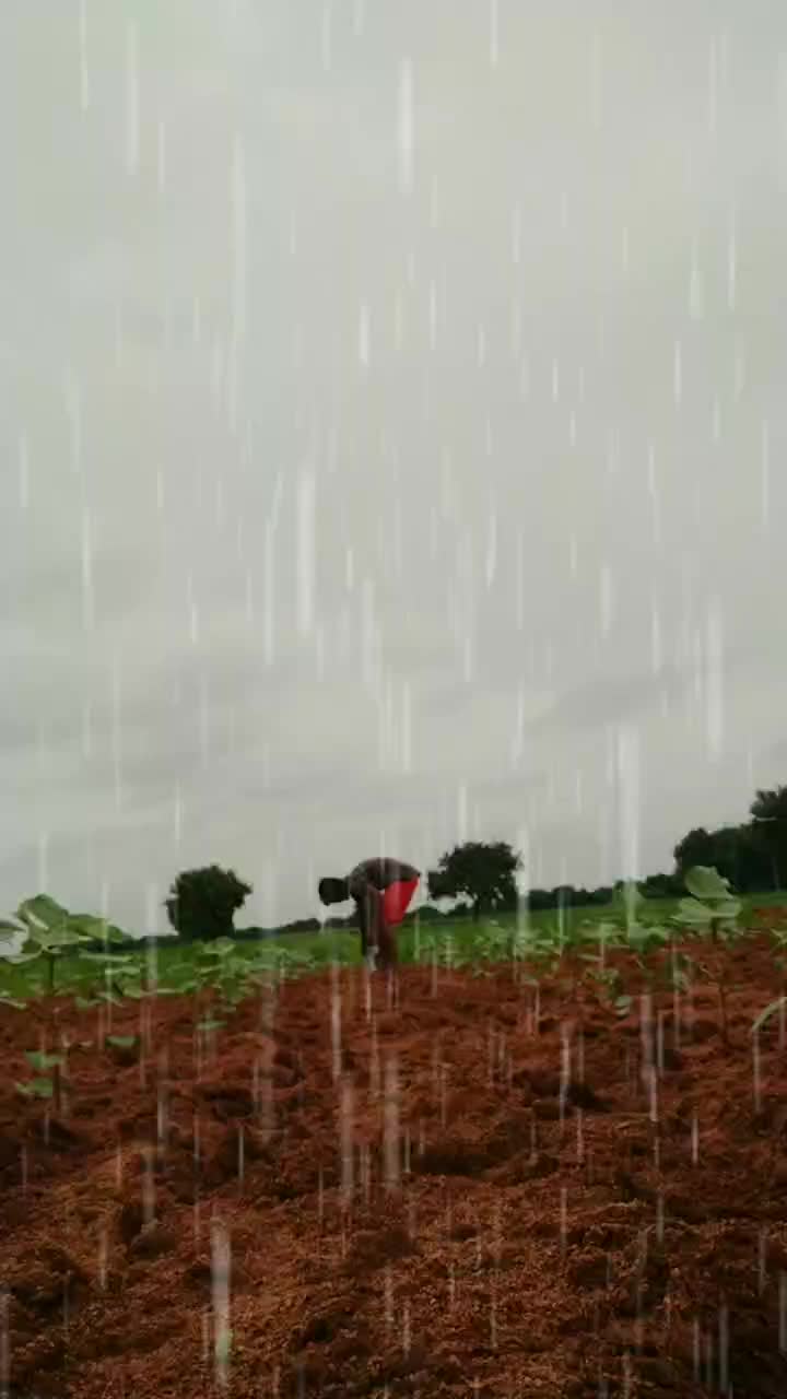 @Janardhan Reddy