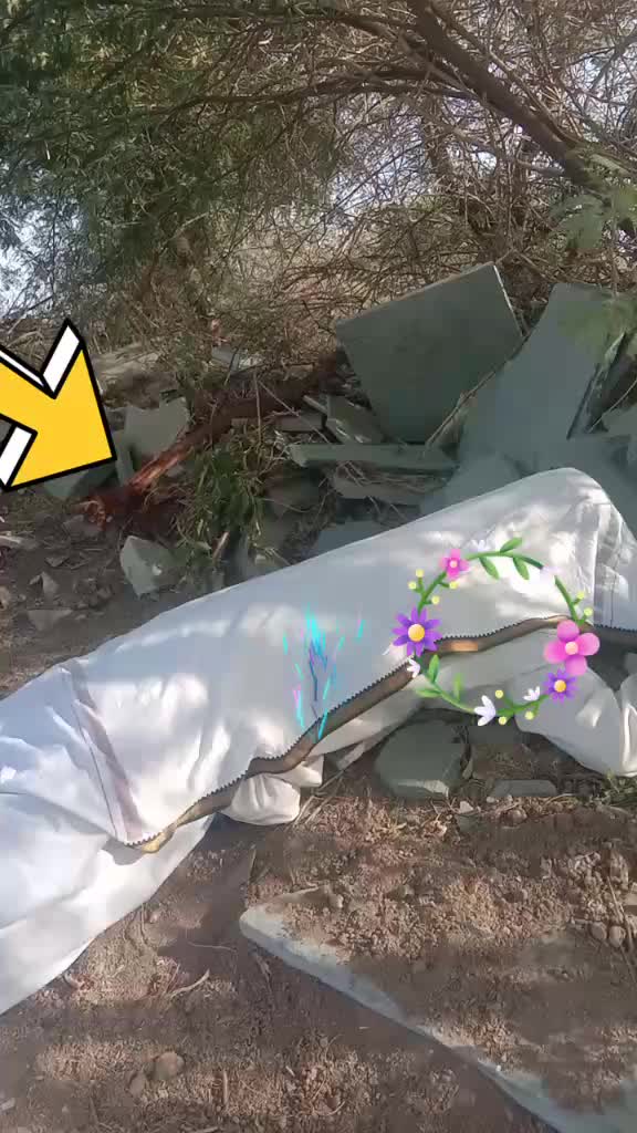 @SAJID ALI