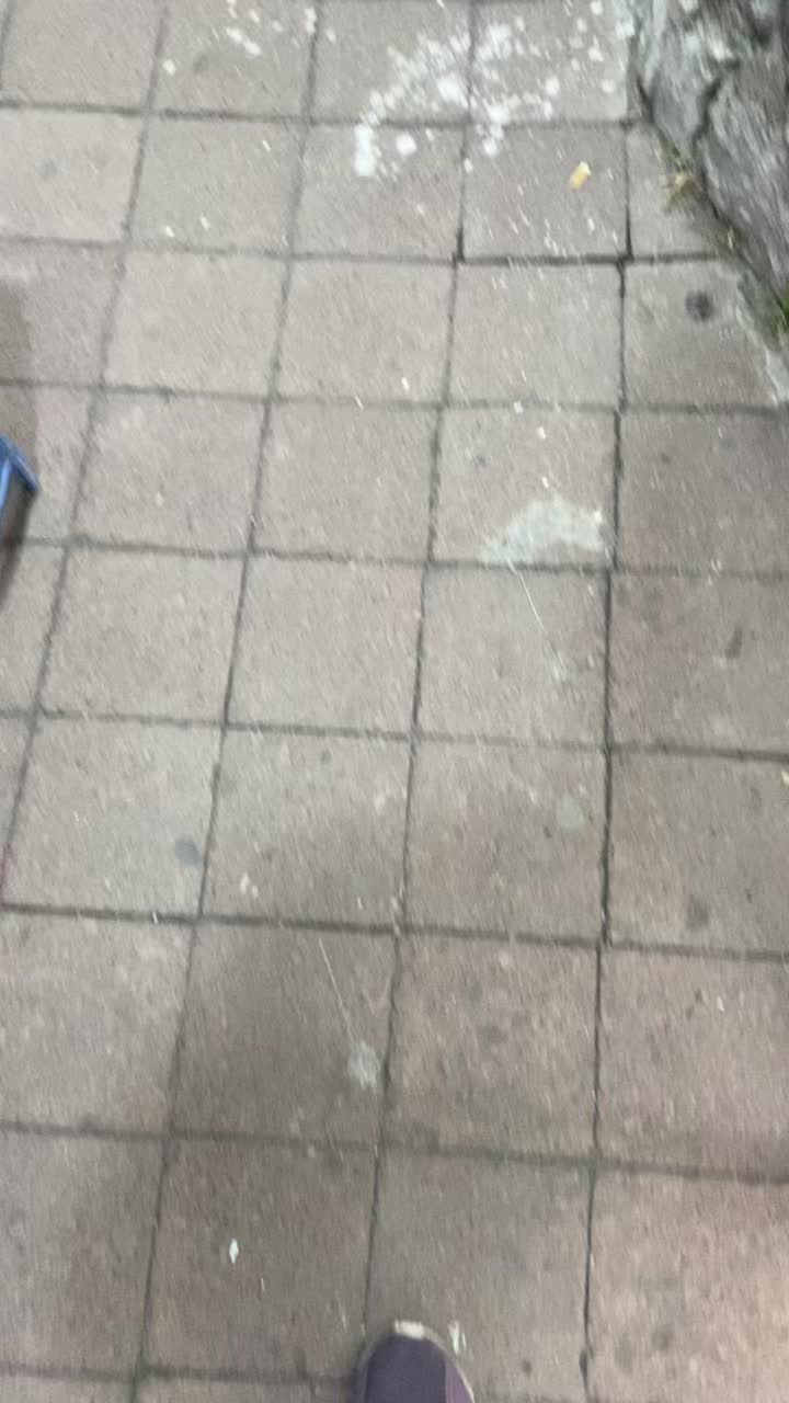 @EmiAguiRex