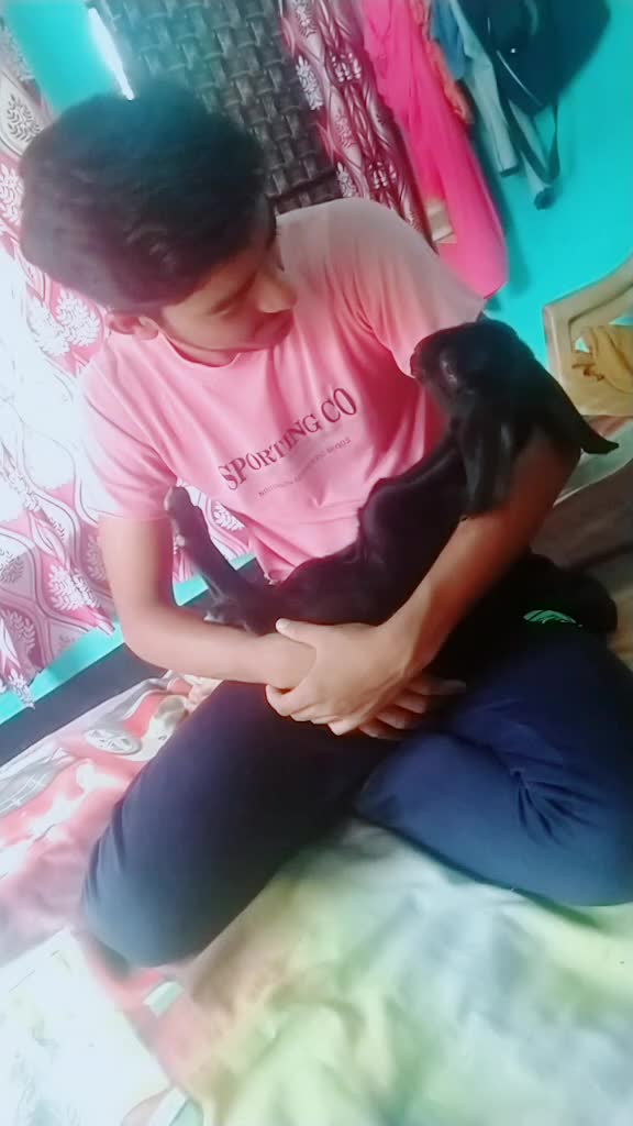 @Amisha gautam